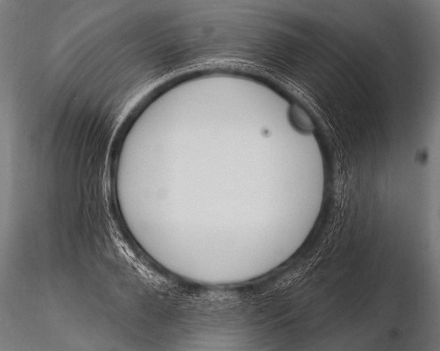 X0000116110888200912141018