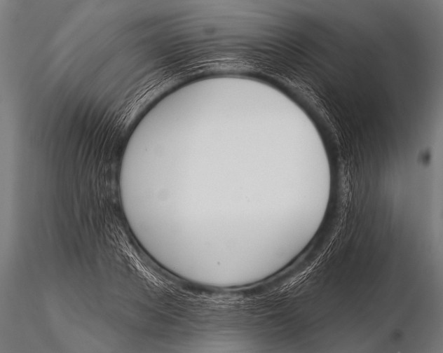 X0000116110889200912141018