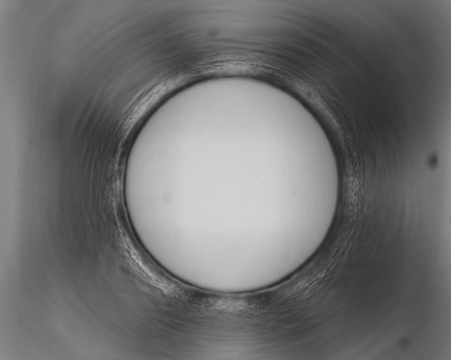 X0000116110890200912141018