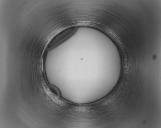 X0000116110892200912141018