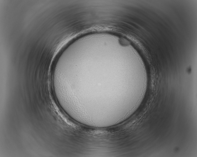 X0000116110894200912141018