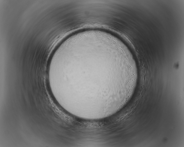 X0000116110895200912141018