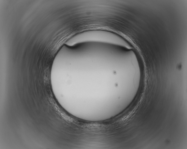 X0000116110897200912141018