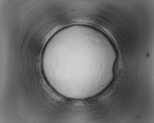 X0000116110899200912141018