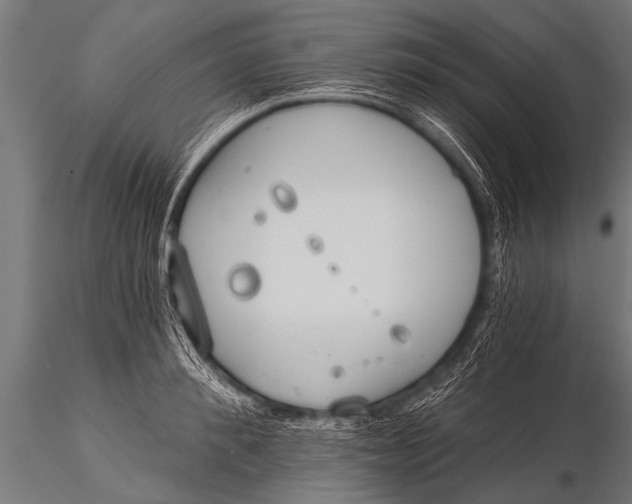 X0000116110900200912141018