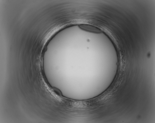 X0000116110901200912141018