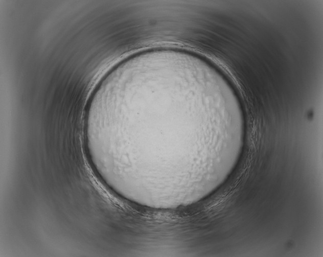 X0000116110903200912141018