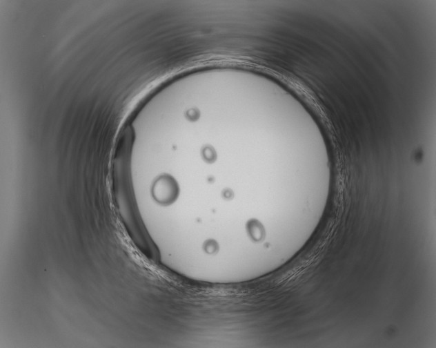 X0000116110904200912141018