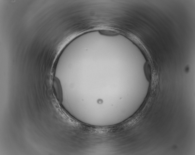 X0000116110908200912141017