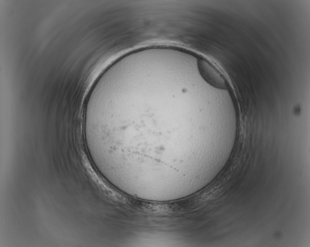 X0000116110911200912141017