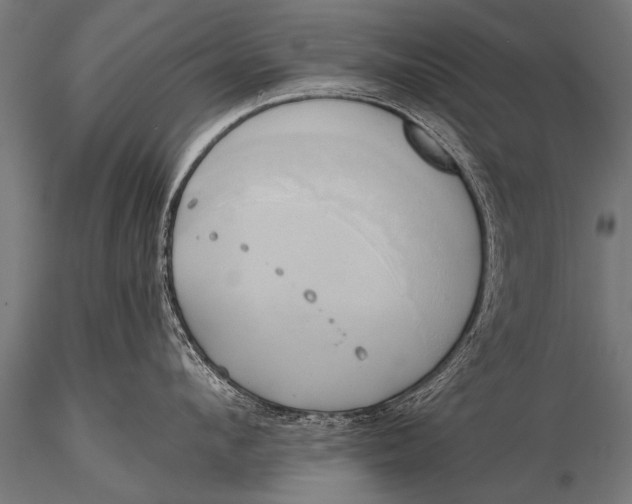 X0000116110912200912141017