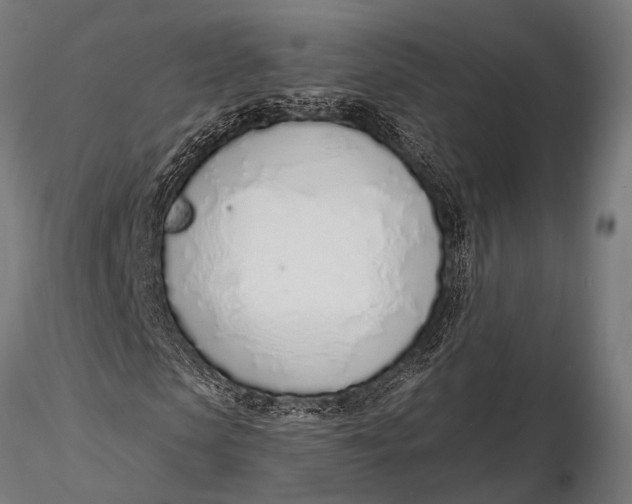 X0000116110913200912141017