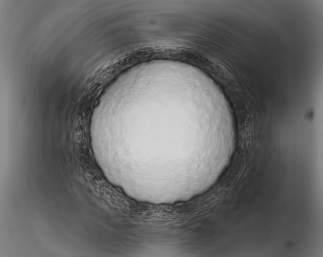 X0000116110917200912141017