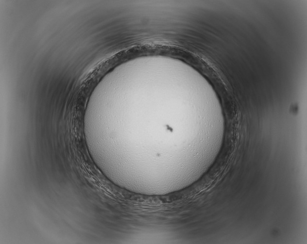 X0000116110919200912141017