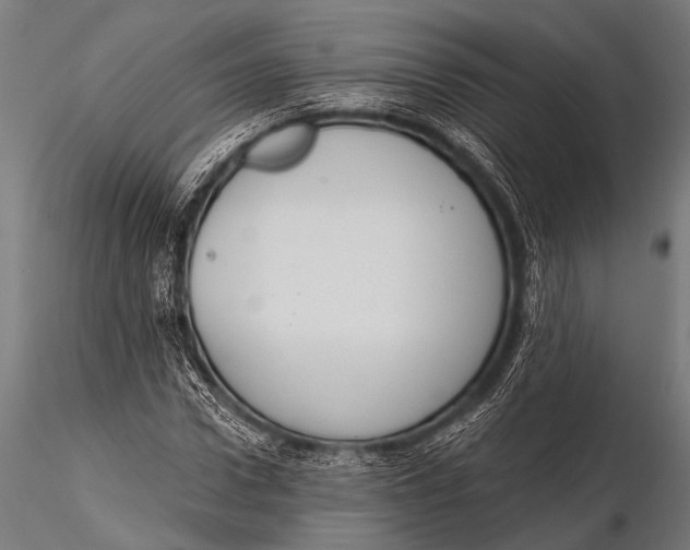 X0000116110922200912141017