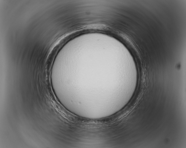 X0000116110923200912141017