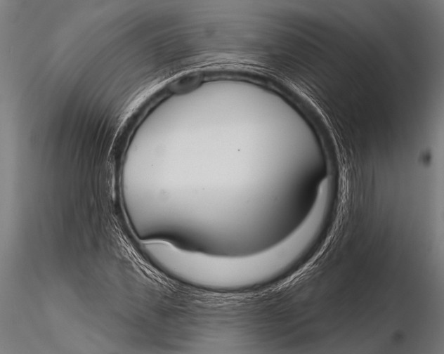 X0000116110925200912141017