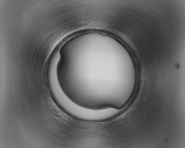 X0000116110926200912141017