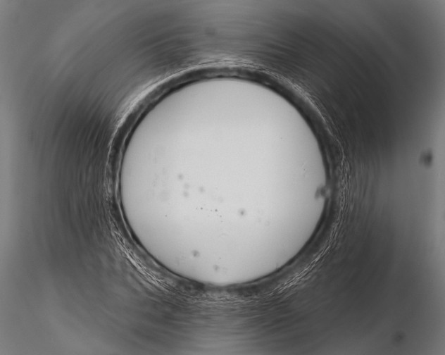 X0000116110927200912141017