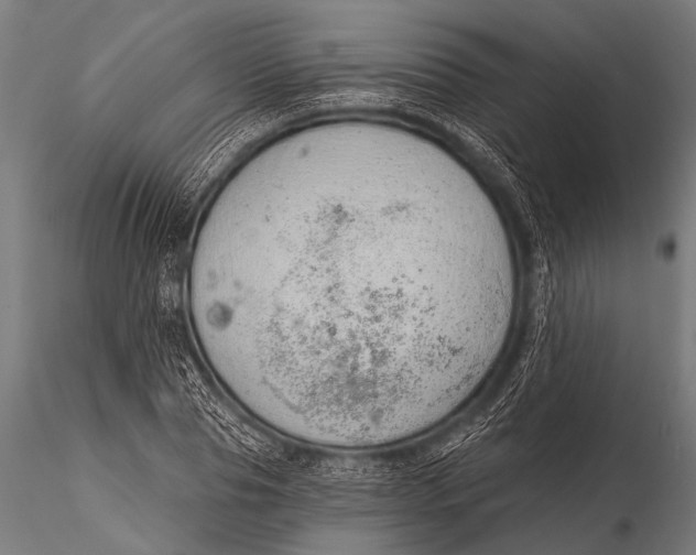 X0000116110929200912141017