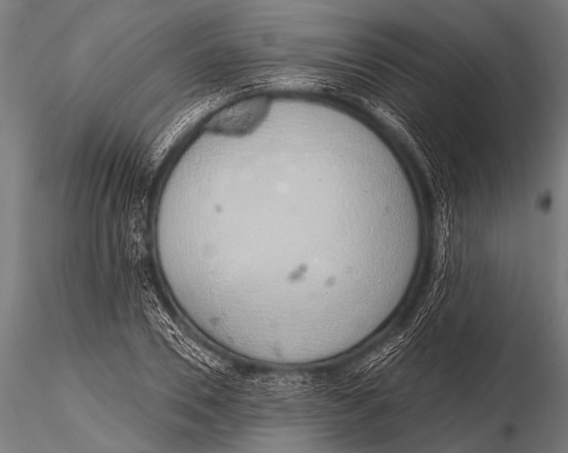 X0000116110930200912141017