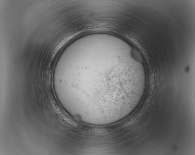 X0000116110933200912141017