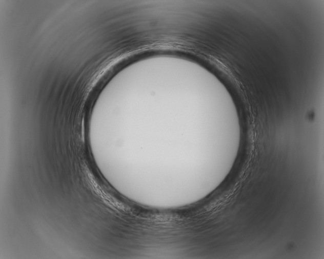 X0000116110934200912141017