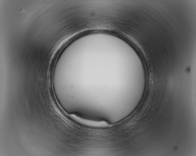 X0000116110935200912141017