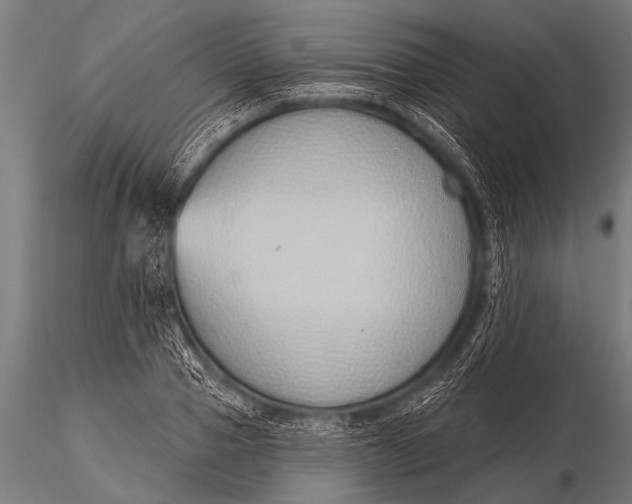 X0000116110937200912141017