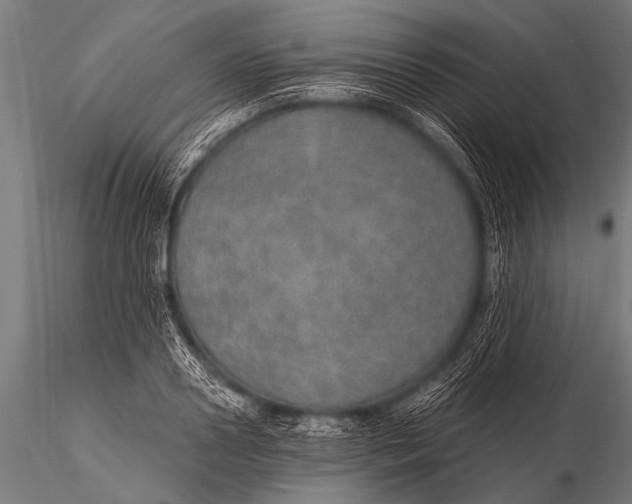 X0000116110938200912141017