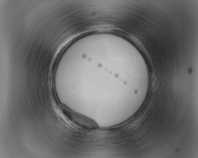 X0000116110939200912141017