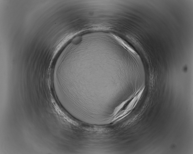 X0000116110941200912141017