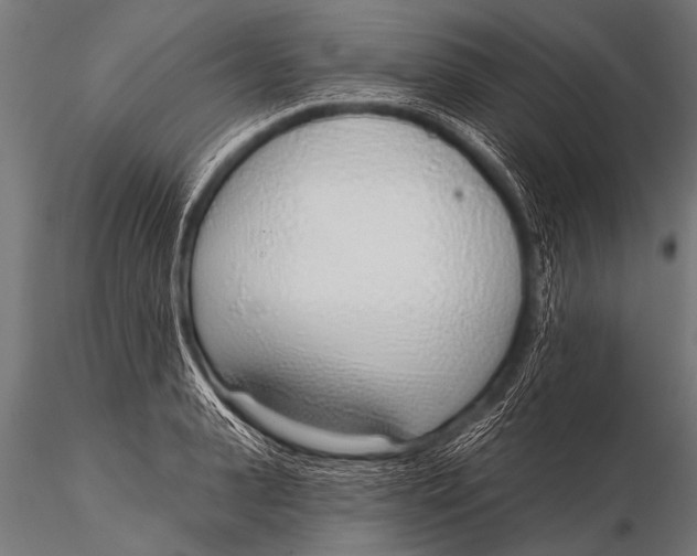 X0000116110943200912141017