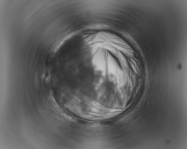 X0000116110945200912141017