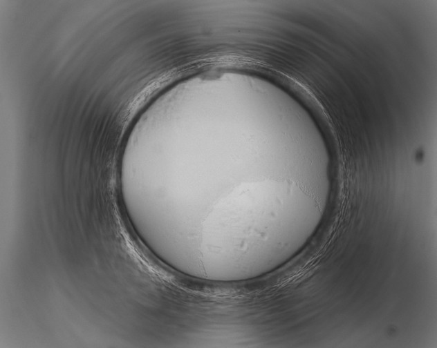 X0000116110946200912141017