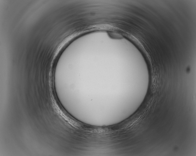 X0000116110947200912141017