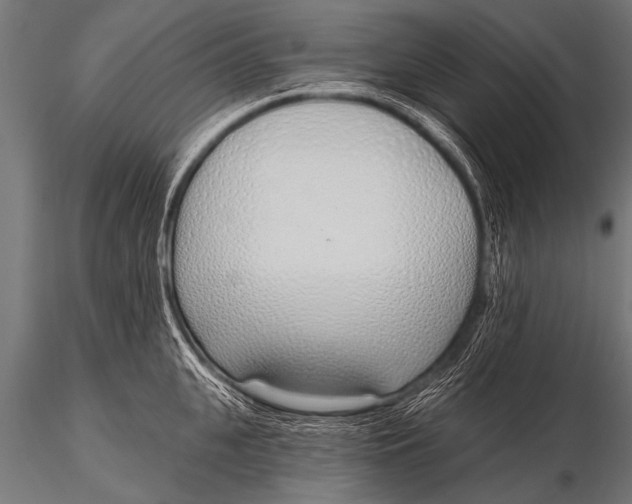 X0000116110951200912141017