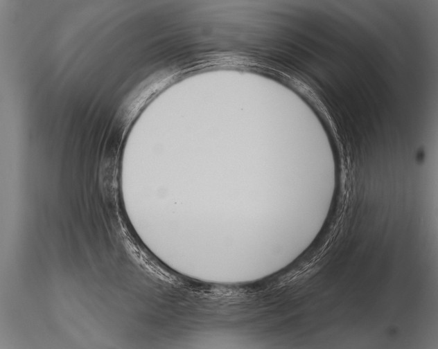 X0000116110954200912141017