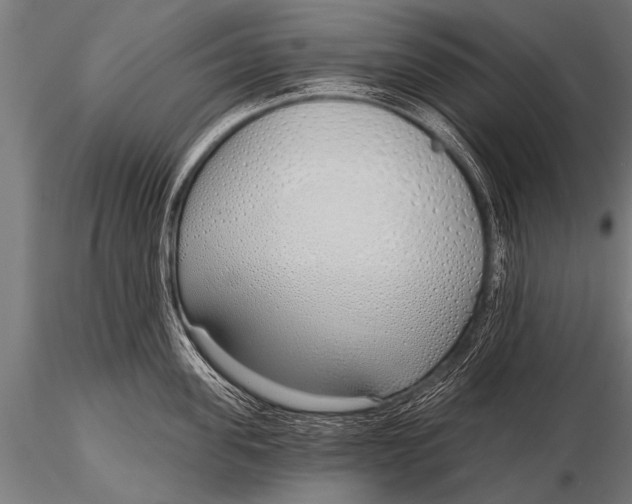 X0000116110955200912141017