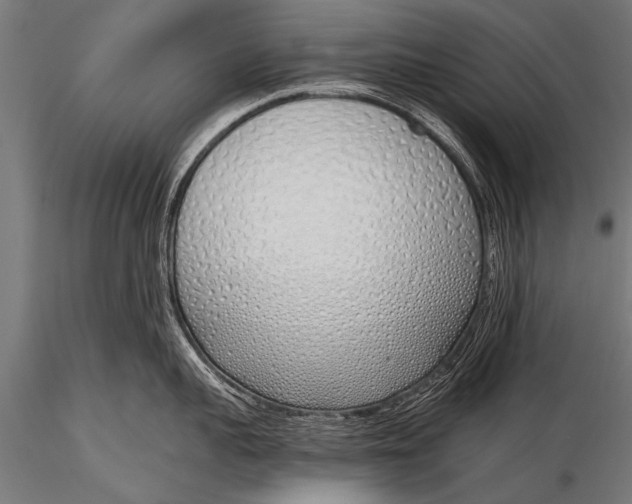 X0000116110959200912141017