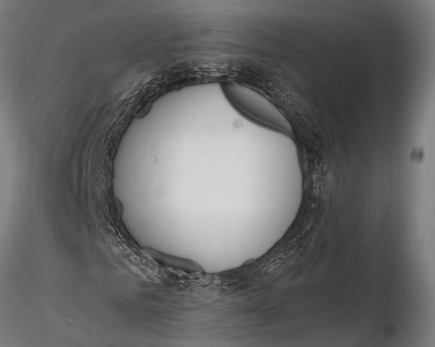 X0000116110961200912141017