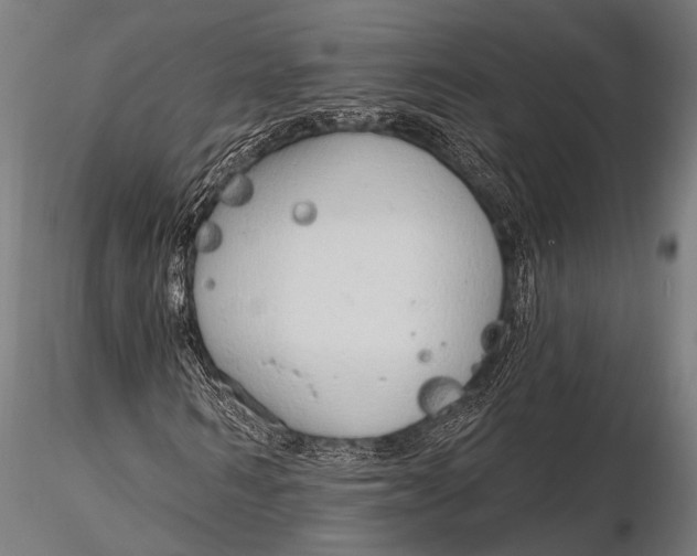 X0000116110962200912141017