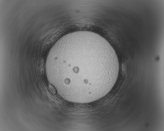 X0000116110963200912141017