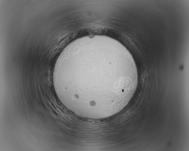 X0000116110964200912141017