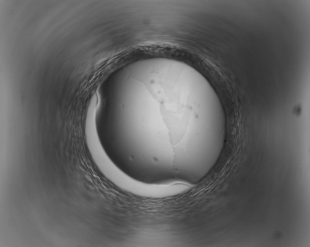 X0000116110965200912141017