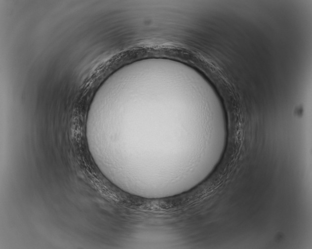 X0000116110966200912141017