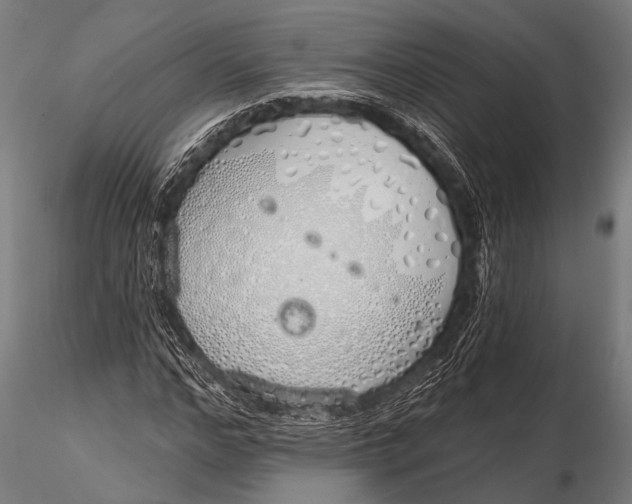 X0000116110968200912141016