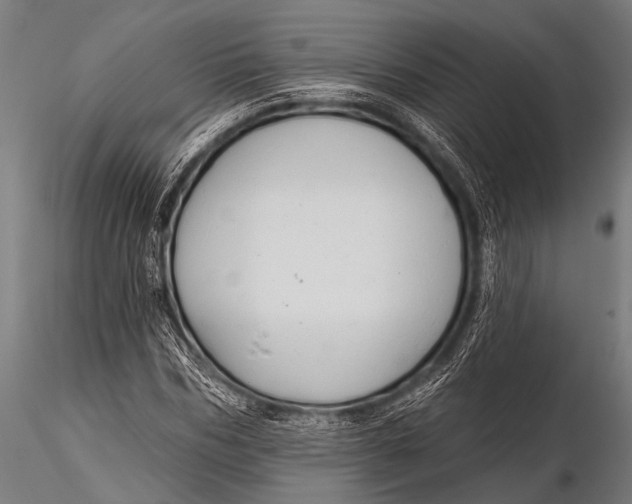 X0000116110970200912141016