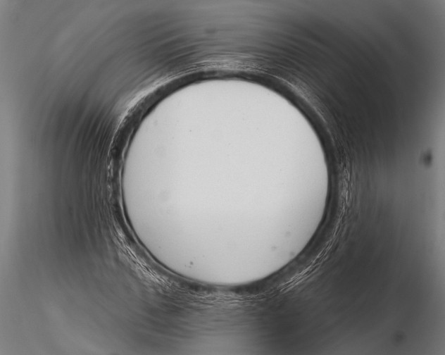 X0000116110971200912141016