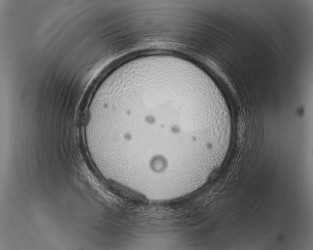 X0000116110972200912141016